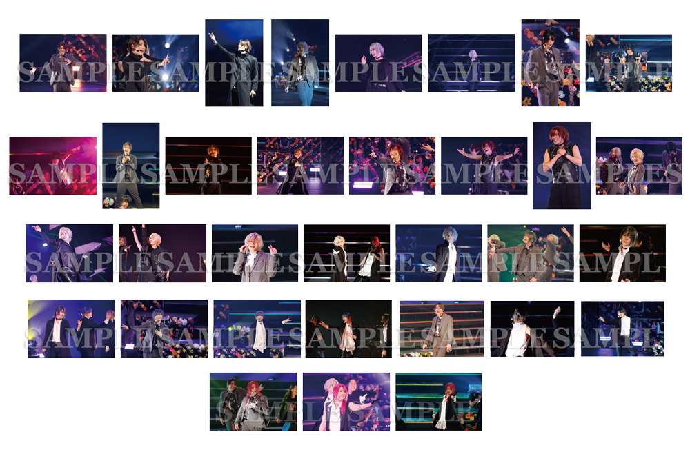 LUNATIC FES 2025 ～NOBLE FLOWERS～トレーディングブロマイド／全66種（LUNATIC FES 2025 劇中写真／バズステ　ソロVer.）
